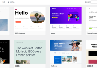 WordPress Theme Selection